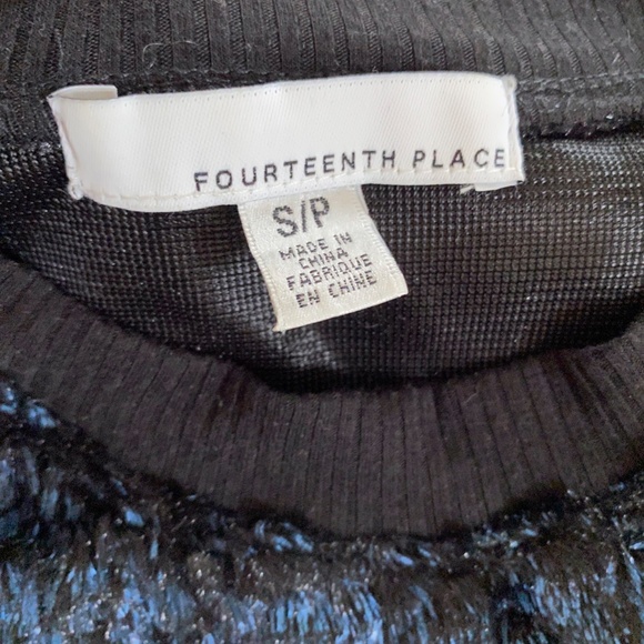 Fourteenth Place Nordstrom Blue Iridescent Faux Fur Sweatshirt - Picture 4 of 5